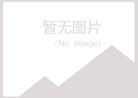 玛多县夏日化学有限公司